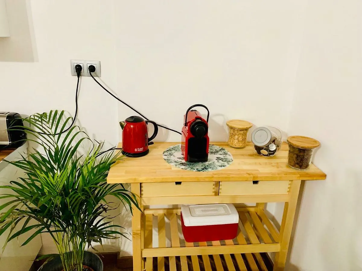 Anas Apartment Centro Historico 马拉加 0*,